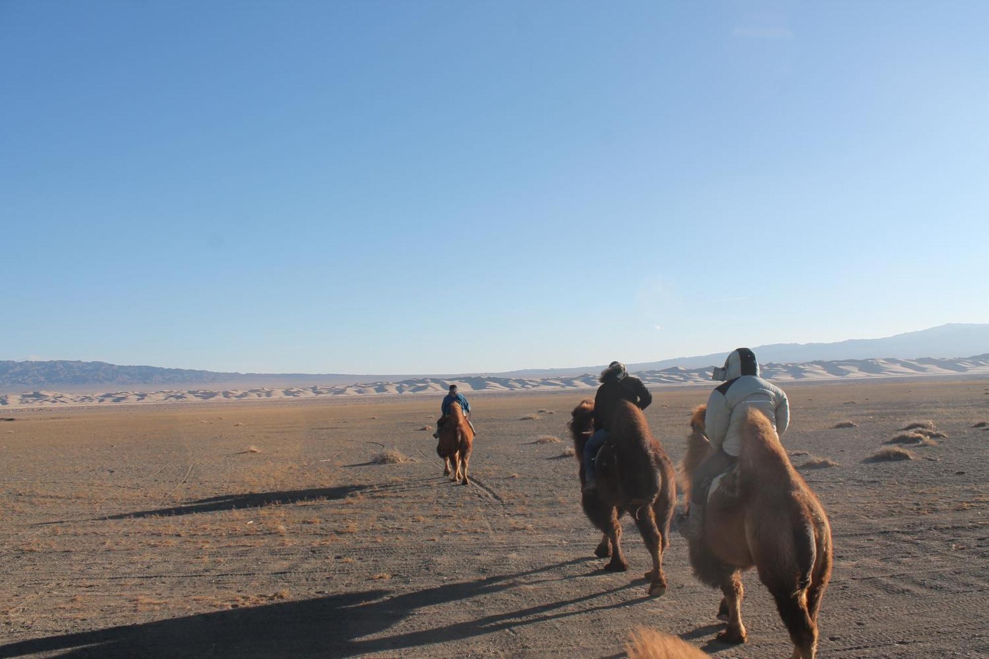 Sunpath Mongolia Tour & Hostel Улан-Батор Екстер'єр фото